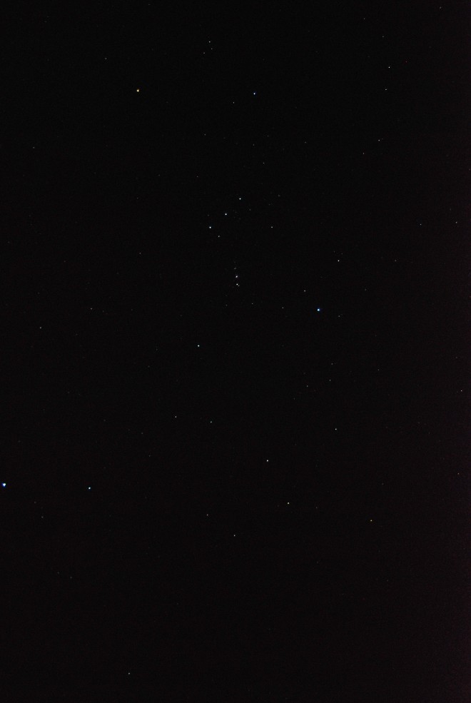 orion (1)